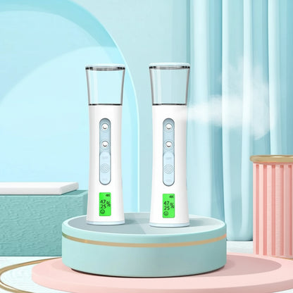 Double Ultrasonic Nano Facial Sprayer & Mister