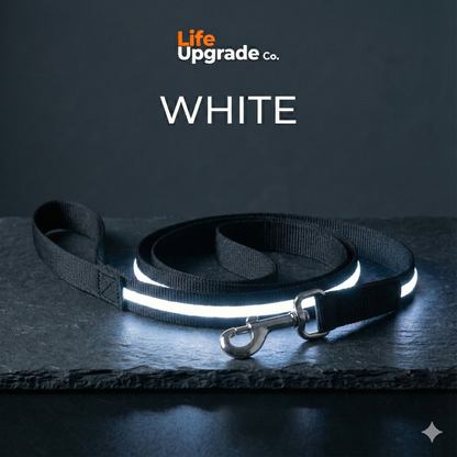 LED Luminous Light Up Dog Leash
