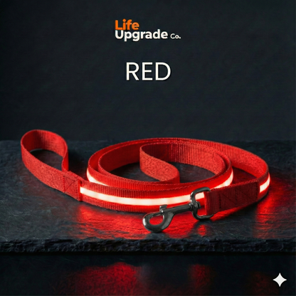 LED Luminous Light Up Dog Leash