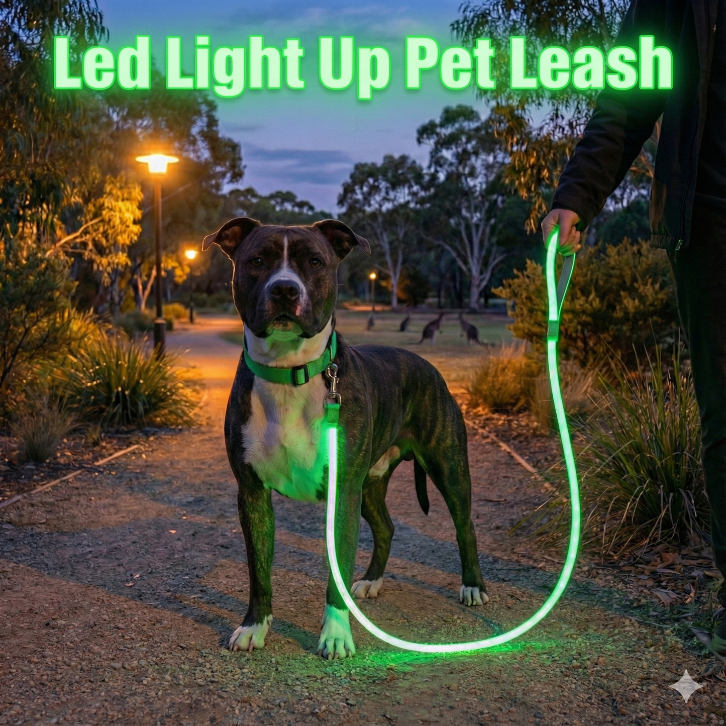 LED Luminous Light Up Dog Leash