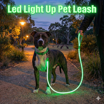 LED Luminous Light Up Dog Leash