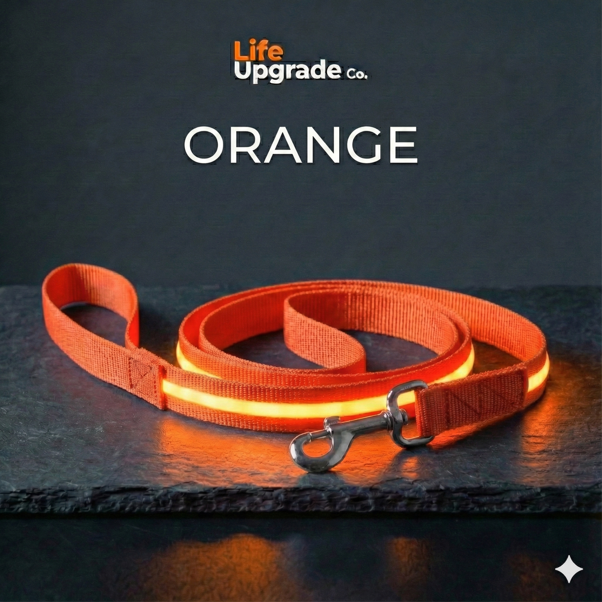 LED Luminous Light Up Dog Leash