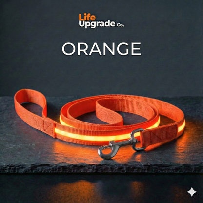 LED Luminous Light Up Dog Leash