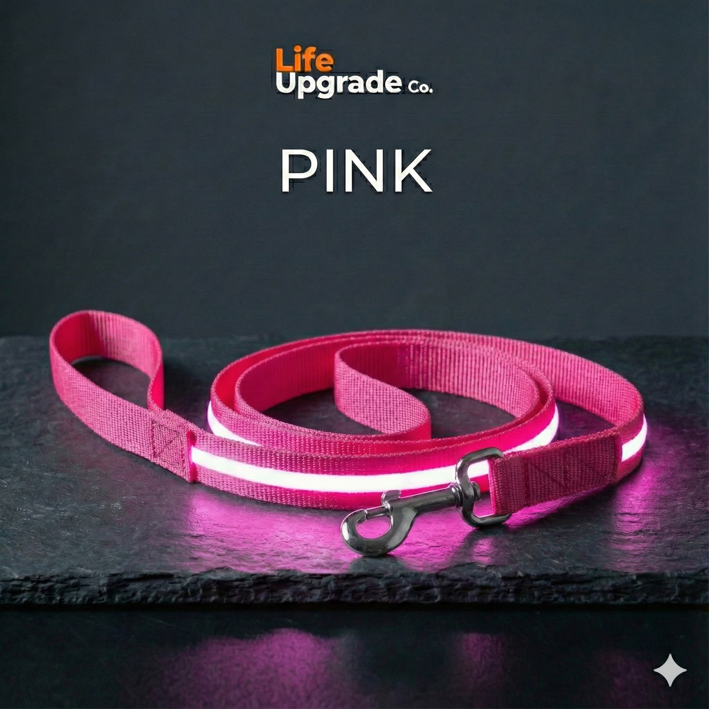 LED Luminous Light Up Dog Leash