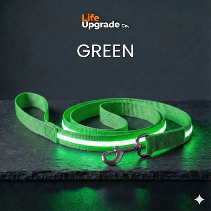 LED Luminous Light Up Dog Leash
