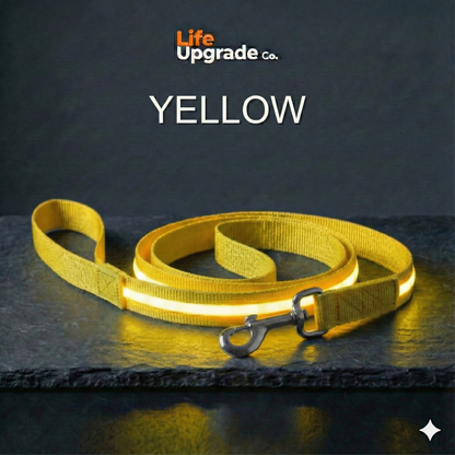 LED Luminous Light Up Dog Leash