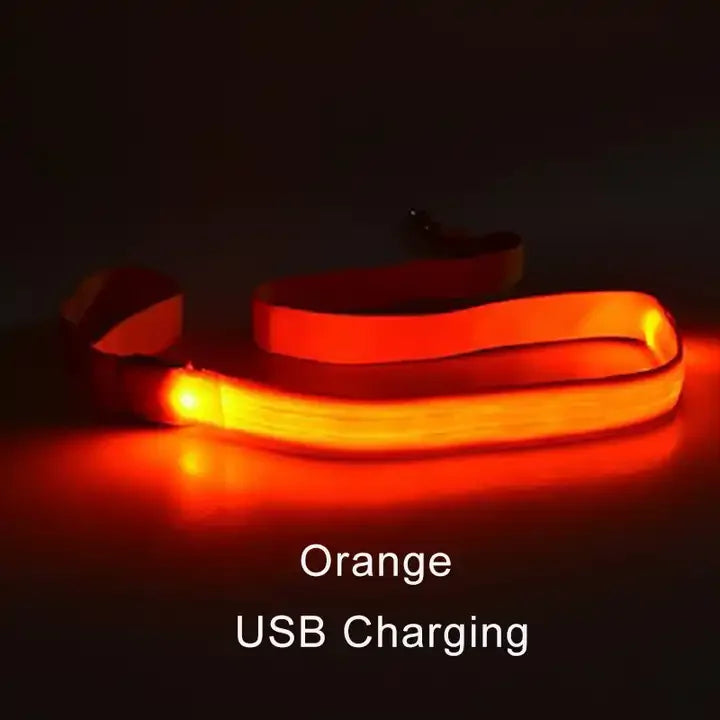 LED Luminous Light Up Dog Leash