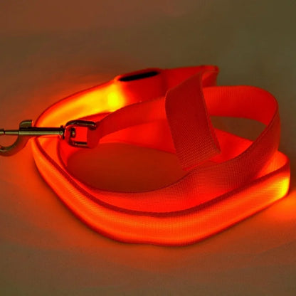 LED Luminous Light Up Dog Leash