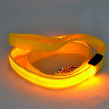 LED Luminous Light Up Dog Leash