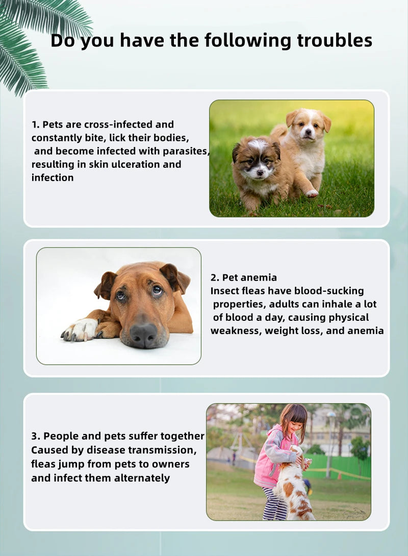 Seisso Dog & Cat Anti-Flea And Tick Collars - Waterproof