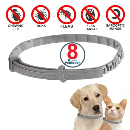 Seisso Dog & Cat Anti-Flea And Tick Collars - Waterproof