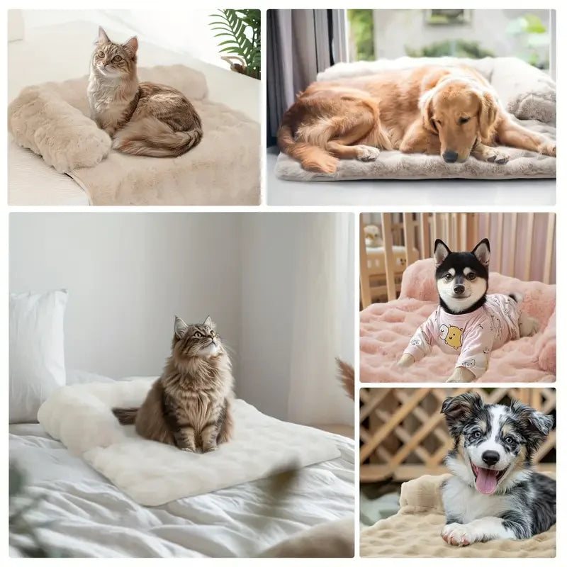 Waterproof Faux Fur Pet Rug