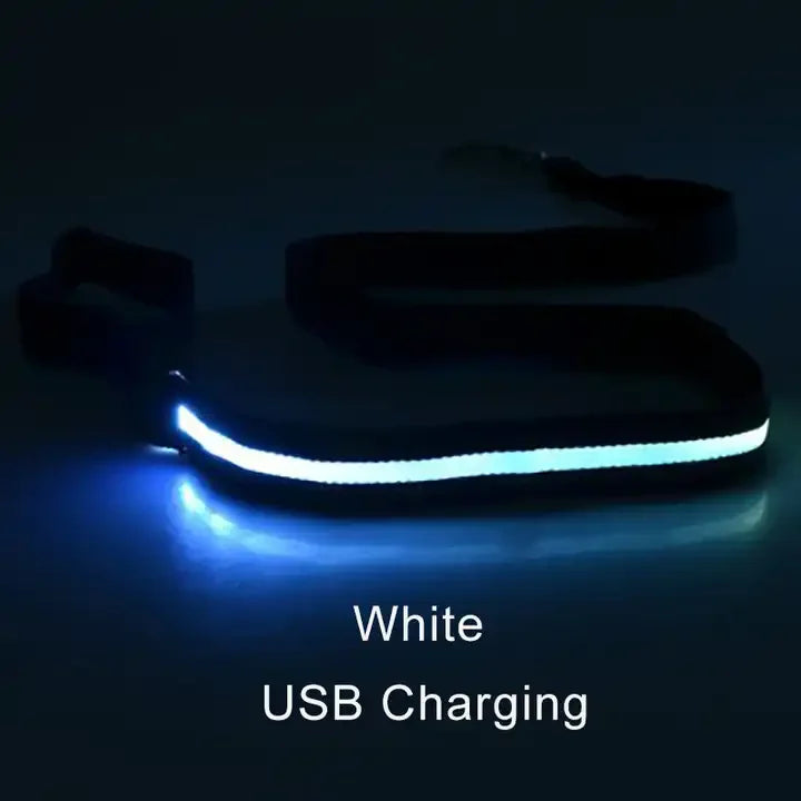 LED Luminous Light Up Dog Leash