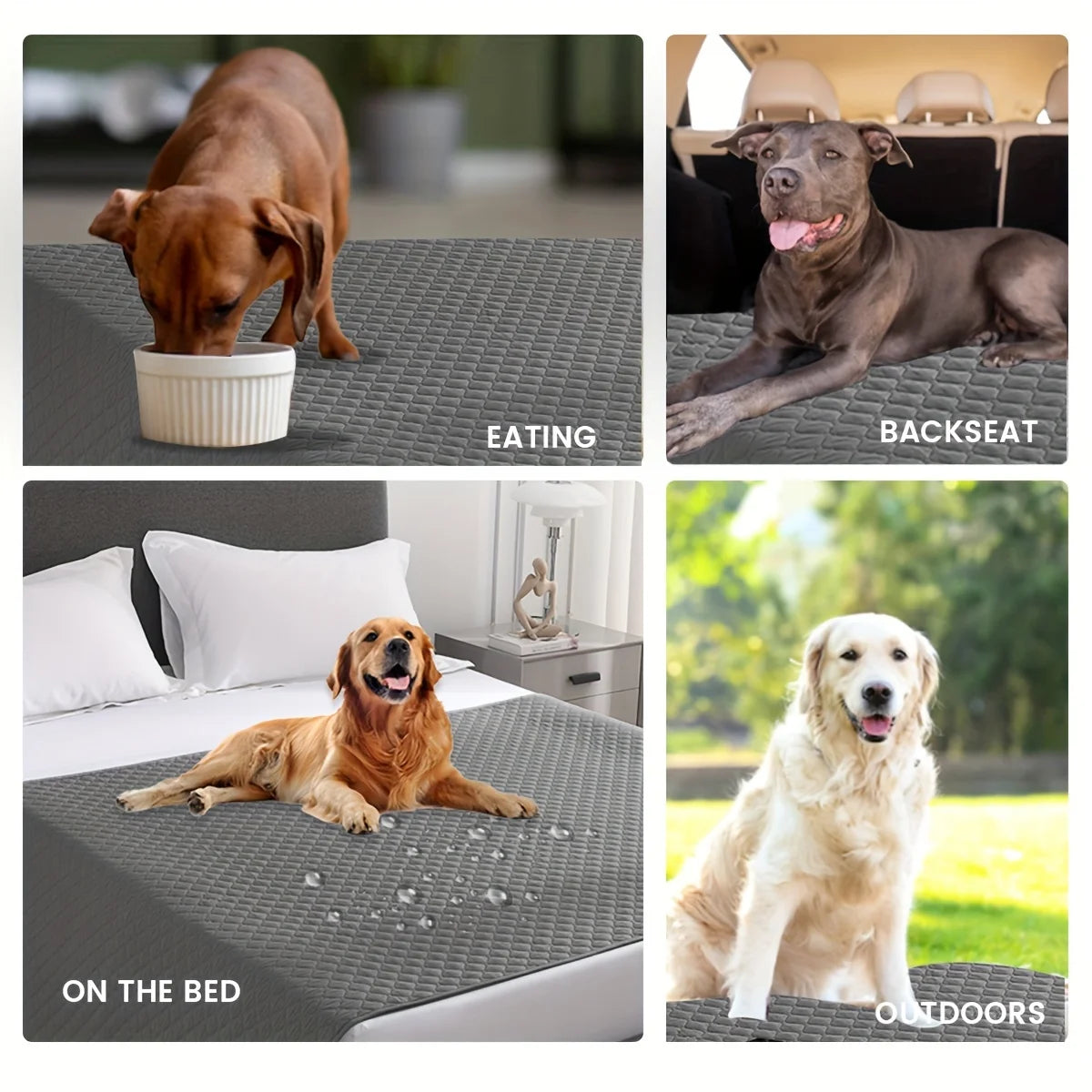 Waterproof Washable Pet Blanket