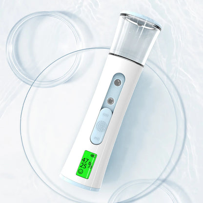 Double Ultrasonic Nano Facial Sprayer & Mister