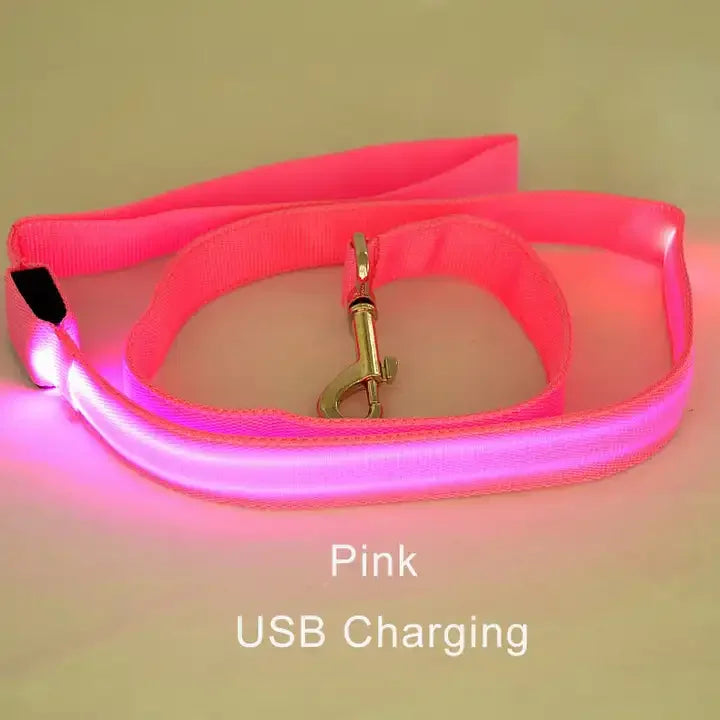 LED Luminous Light Up Dog Leash