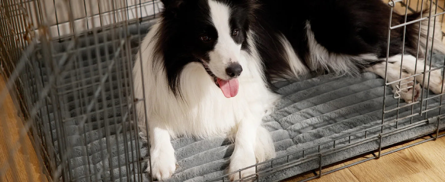 Thermal Self-Warming Pet Mat