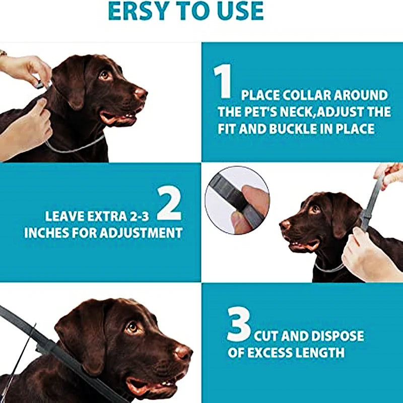 Seisso Dog & Cat Anti-Flea And Tick Collars - Waterproof