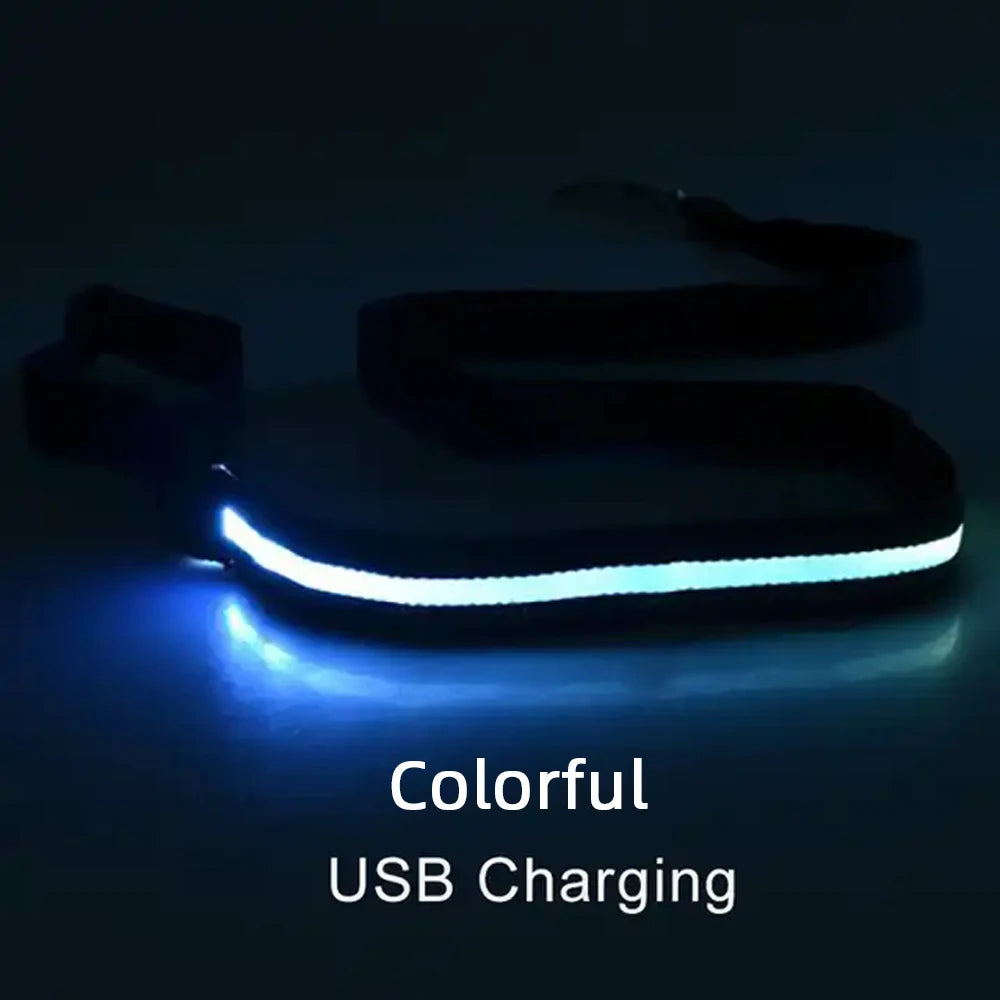 LED Luminous Light Up Dog Leash