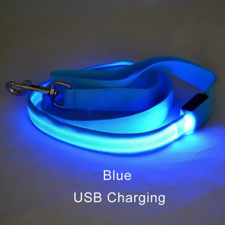 LED Luminous Light Up Dog Leash