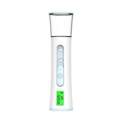 Double Ultrasonic Nano Facial Sprayer & Mister