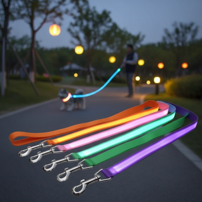 LED Luminous Light Up Dog Leash